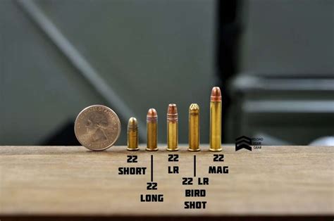 22 long vs 22 long rifle.